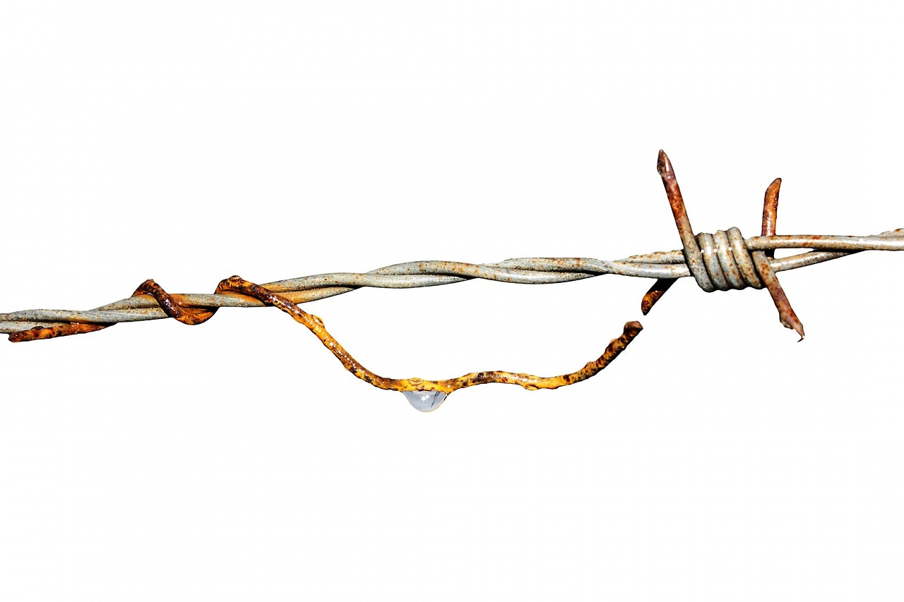 Harnessing Resilience to Overcome Virtual Fatigue
